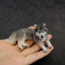 Miniature Siberian Husky Dog * Handmade Sculpture