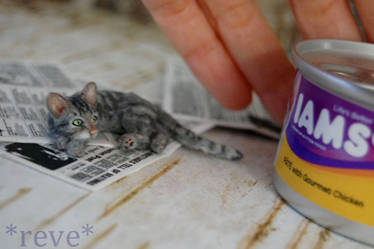 Dinner is ready!  * Handmade Cat * =^..^=