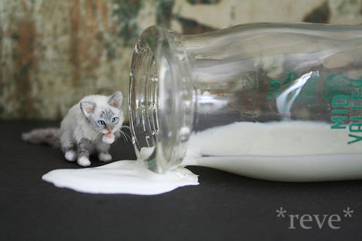 Got Milk? ~ Handmade Miniature Birman Cat
