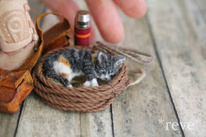 Handmade Miniature Calico Kitten Sleeping by ReveMiniatures