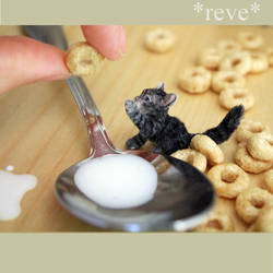 Good Morning! Handmade miniature kitten