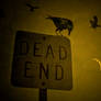 Dead End Raven