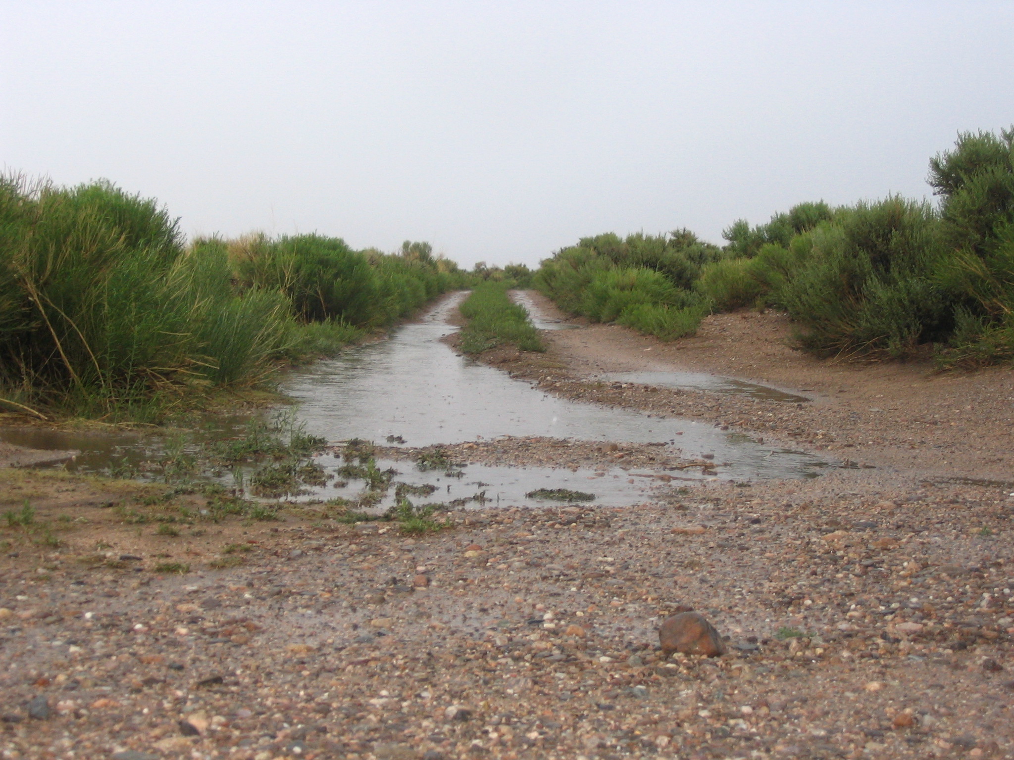 Watercovered Dirt Road 2