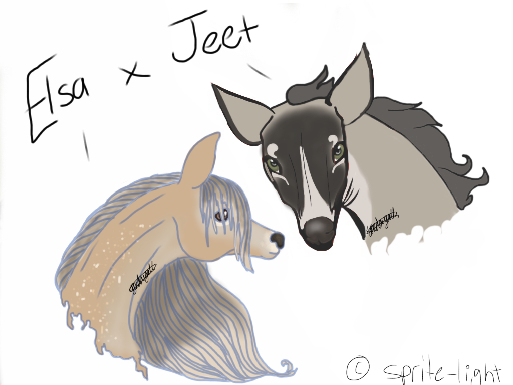 Elsa x Jeet