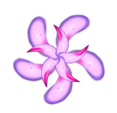 F Stock - Flower Head 12