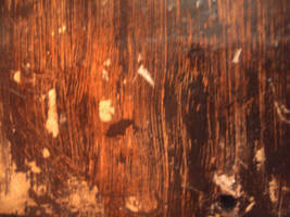 Free Stock Texture Painting of Wood 18 -Apr2013