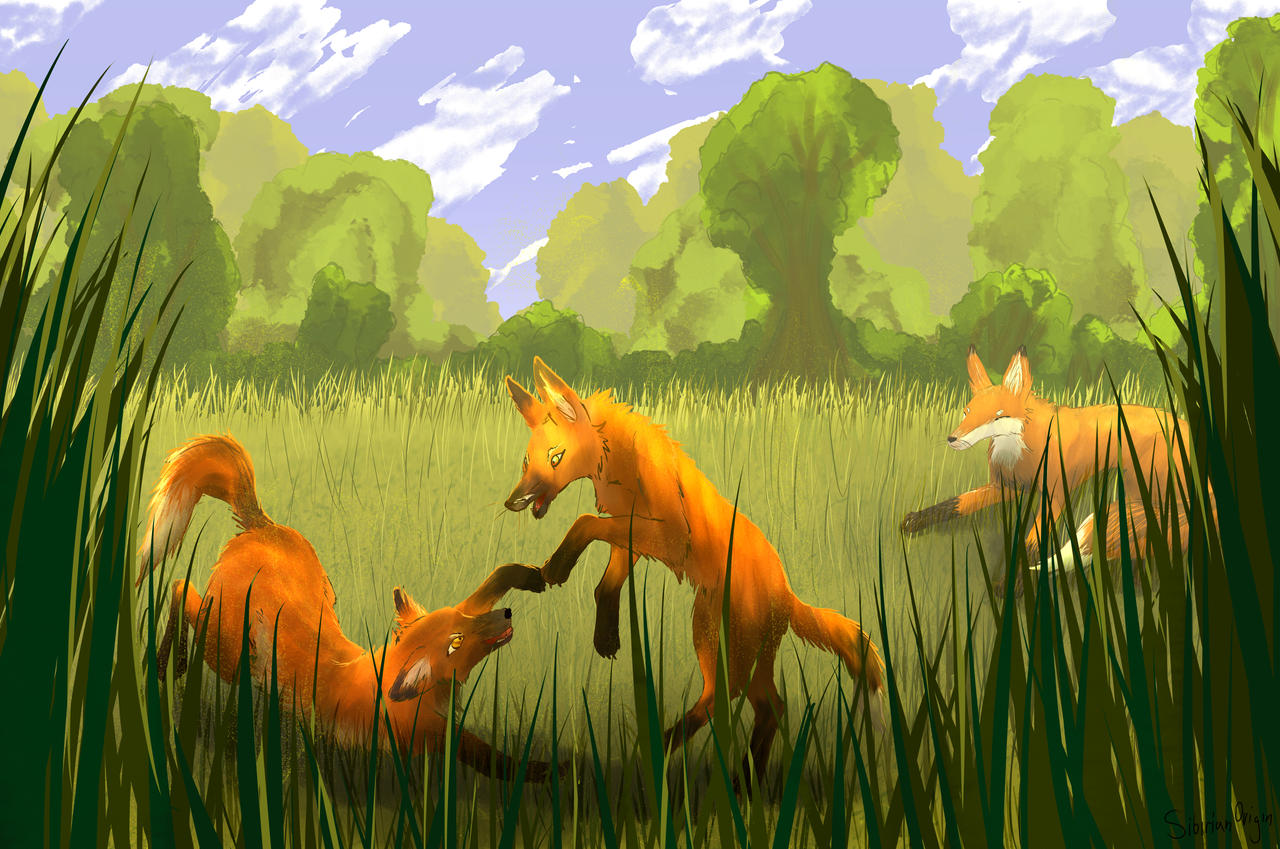 Deviantart Foxes Summer Foxes by sibirianorigin on DeviantArt