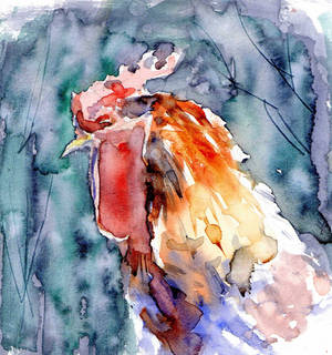 Portrait of a rooster