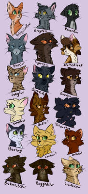 Warrior Cats Designs