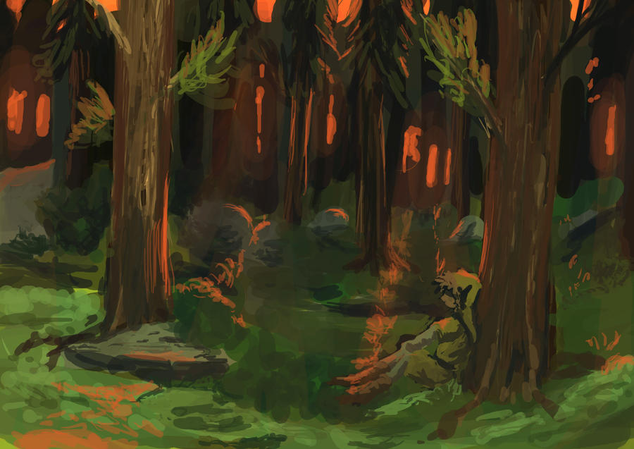 Forest at Dawn