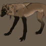 Original brown canadian wolf