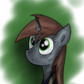 (FoE) LittlePip