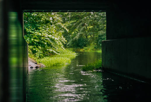 Under the bridge