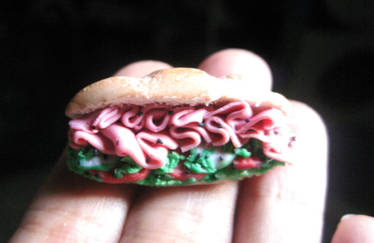 my tiny subway sandwich