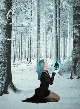Aurora in the Winter Woods
