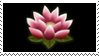 Ren no Hana by Claire-stamps