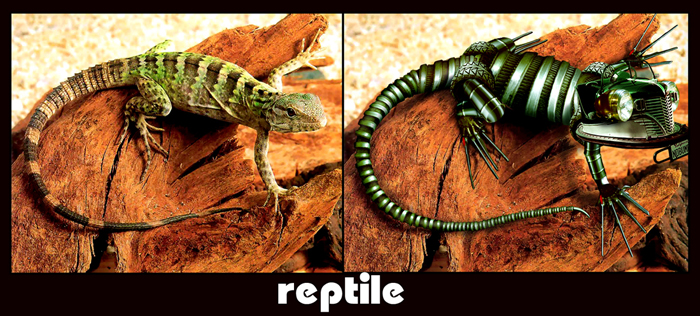 reptilica by japoy015 on DeviantArt