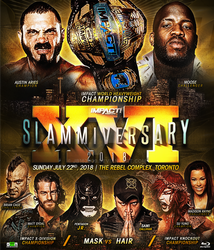 Slammiversary  XVI FAN ART Poster