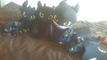 Toothless Family Update #2
