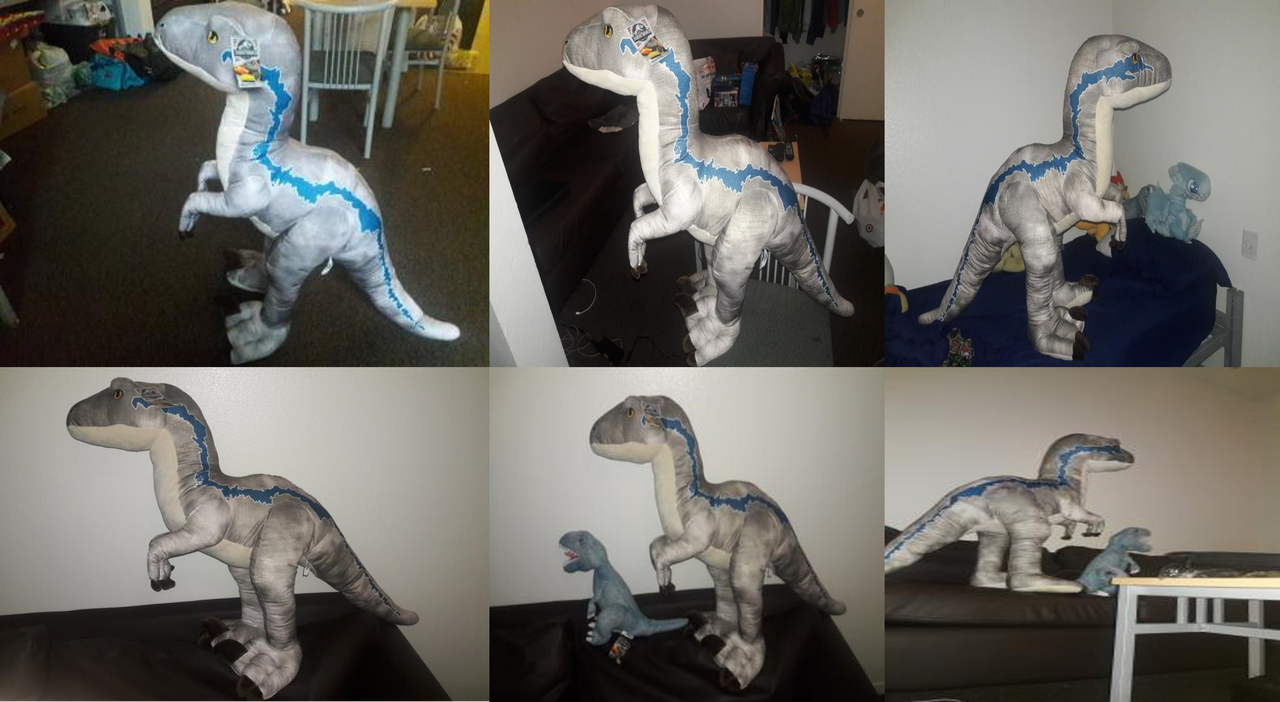 Jurassic world ginormous velociraptor blue plush hotsell