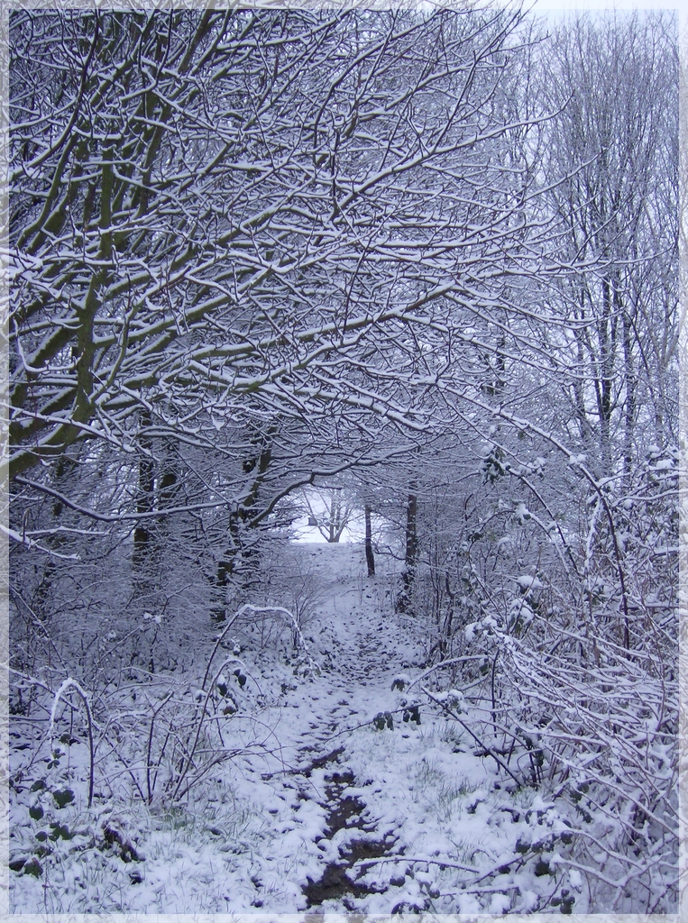 Winters Tunnel