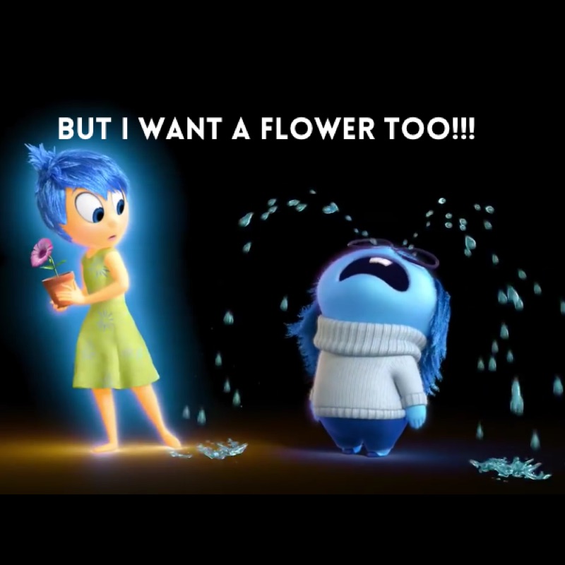 Inside out meme