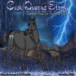 Cash Queens Storm