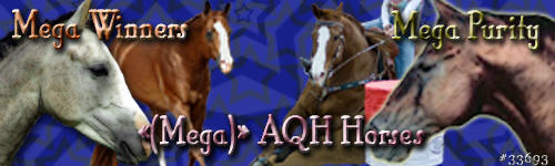 Banner - AQH For VHR