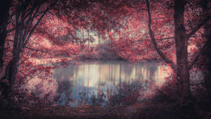 Red Forest Lake I