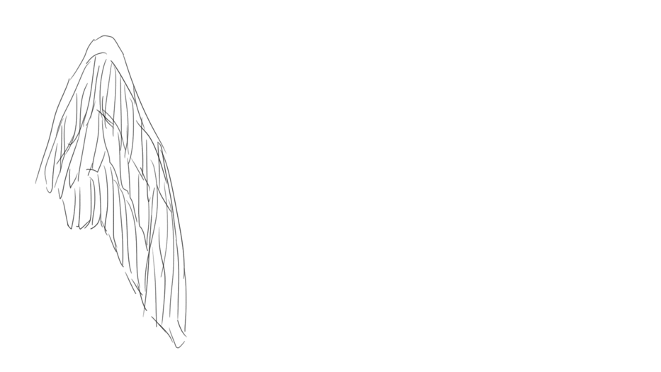Wing Motion Animation Unfolding Wing Animation by Artistic-Persona on DeviantArt