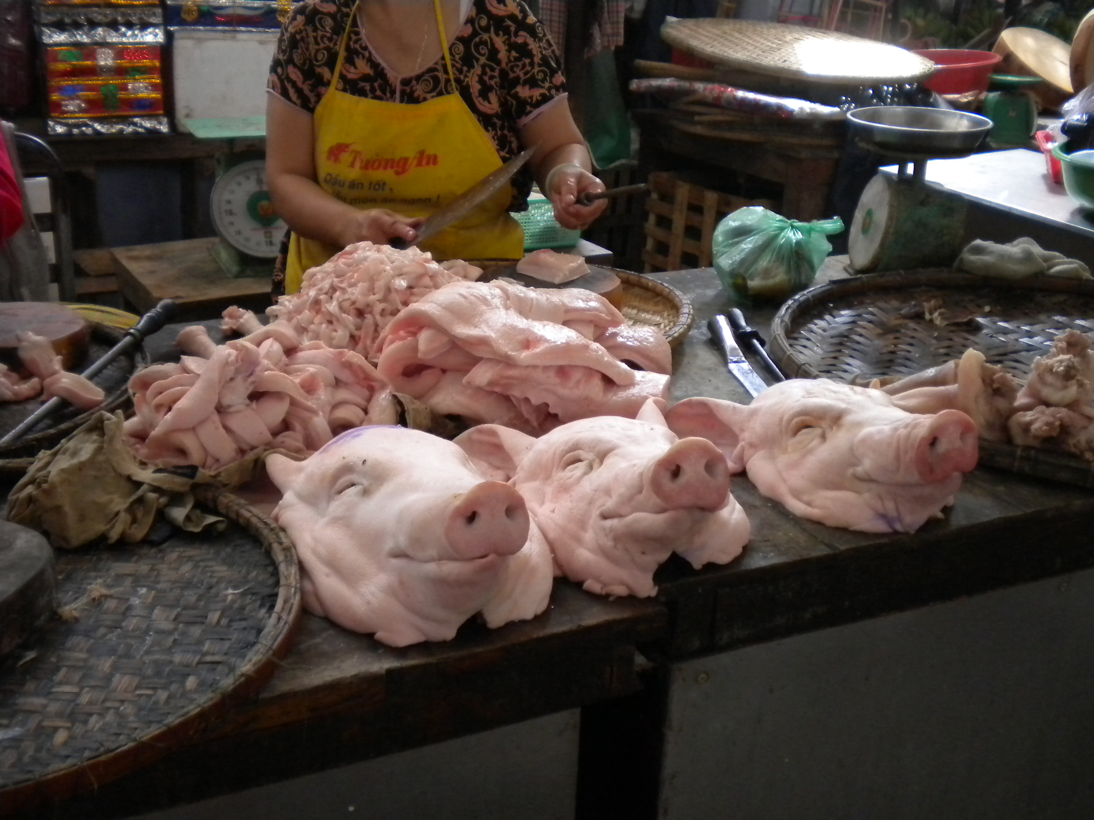 le pigs heads