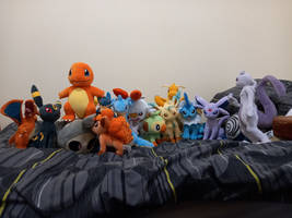 My Pokemon Plushie Collection