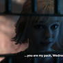 You are my Pack, Wednesday