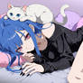Pounce