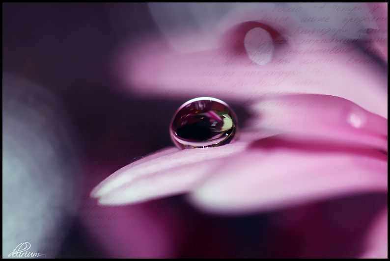 Water Drop