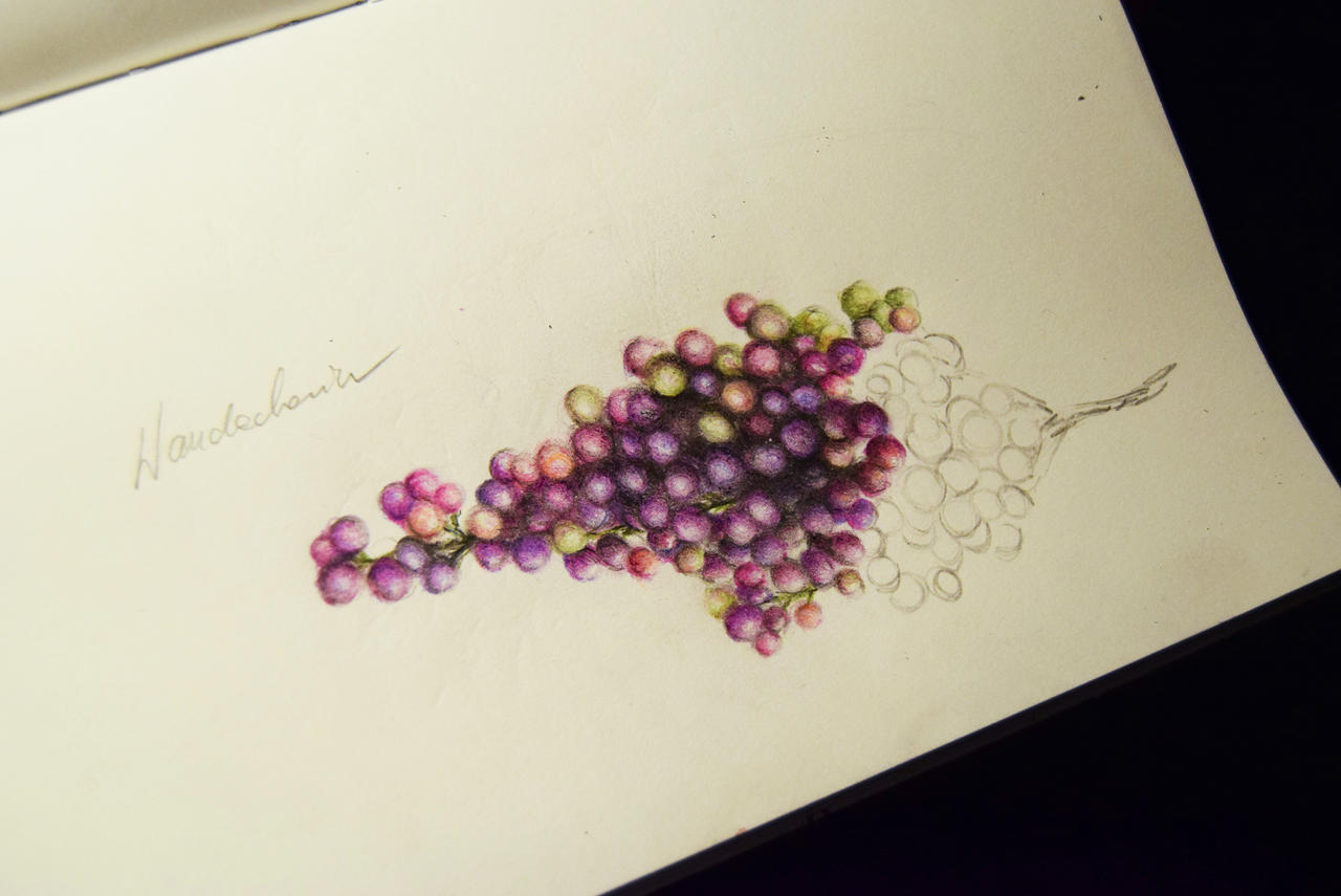 Day 22: grapes wip