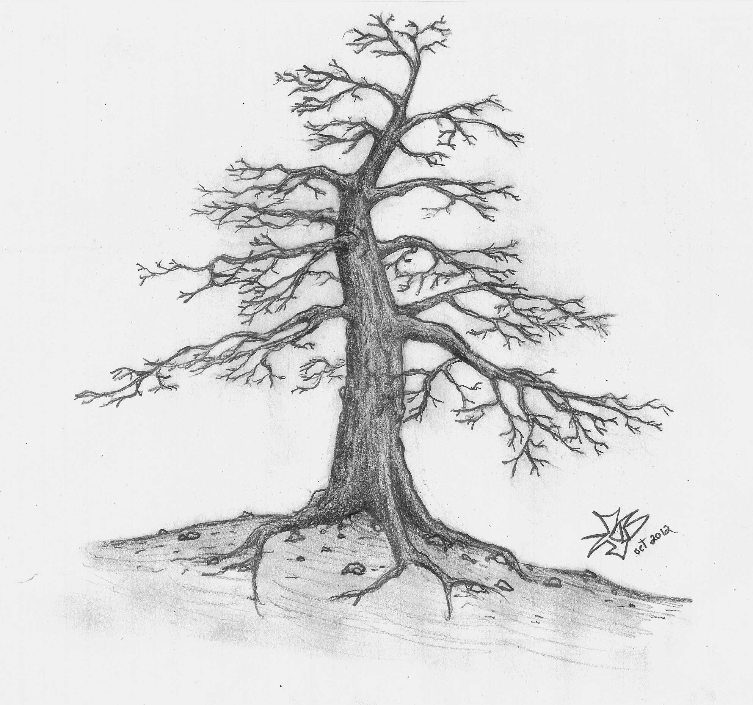 Lone tree