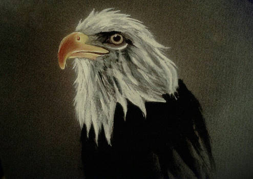 eagle