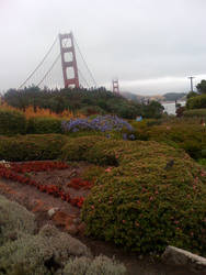 The Golden Gate Bridge