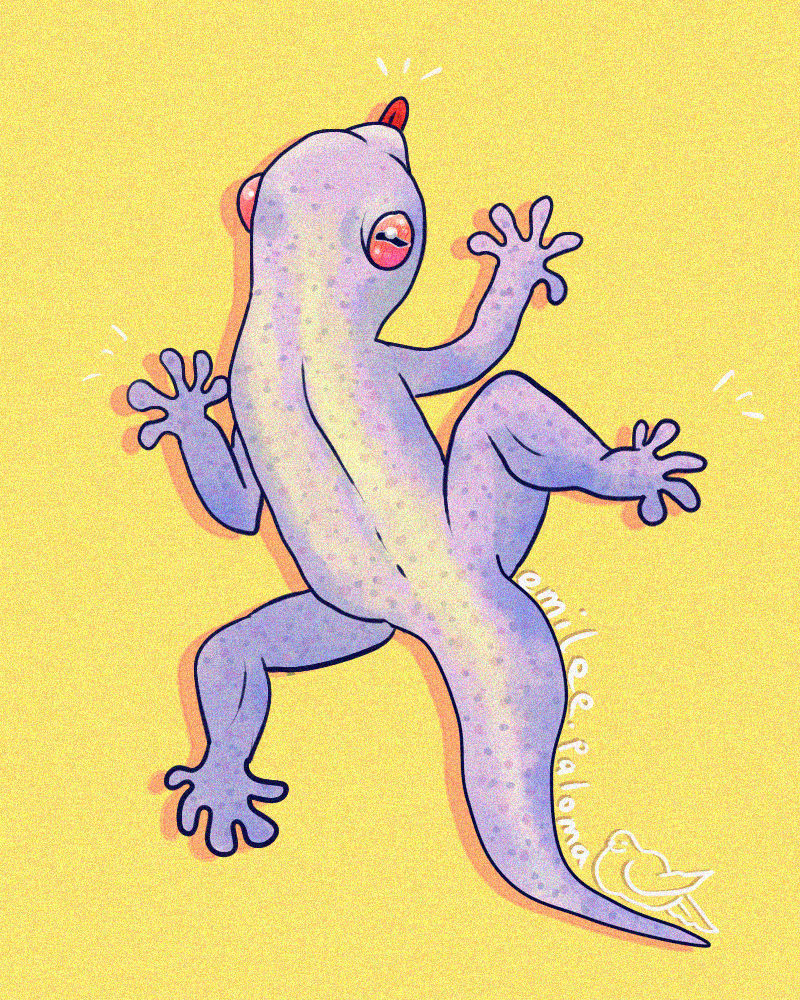 Moonlight Gecko Deviantart Gecko by jellyfish-sun on DeviantArt