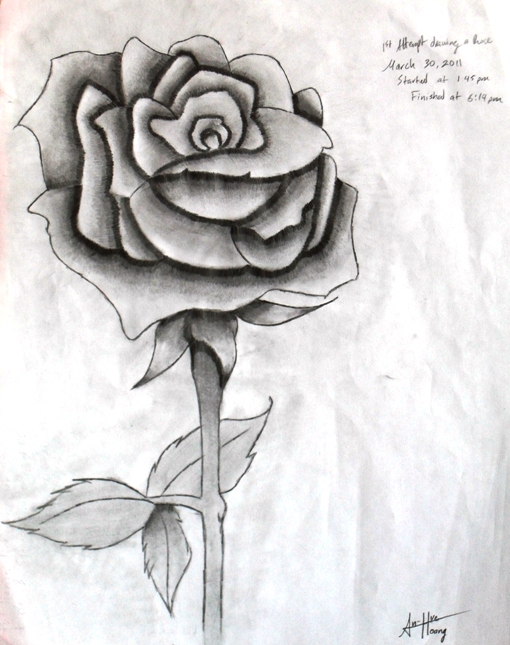 My first rose