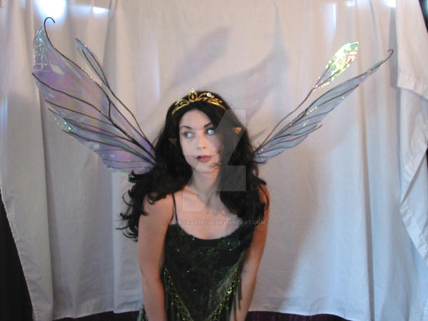 Large Double Fairy Wings