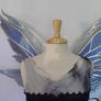 Midnight Azarelle Wings front