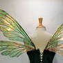 Teasel Painted Wings, Absinthe