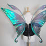 Swallowtail Fairy Wings back