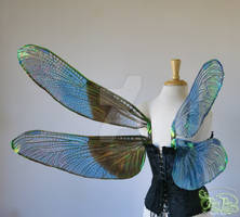 Iridescent Dragonfly Wings for Sebastian, view 2