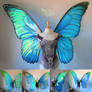 Giant Blue Morpho Iridescent Fairy Butterfly Wings