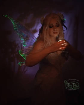 Light Up Green Fairy Wings 3
