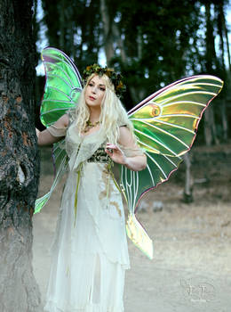 Giant Luna Moth Painted Wings Fairy Near Tree 1