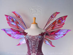 Aynia Iridescent Valentine Fairy Wings (sold)